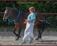 1-13JUIN 1128